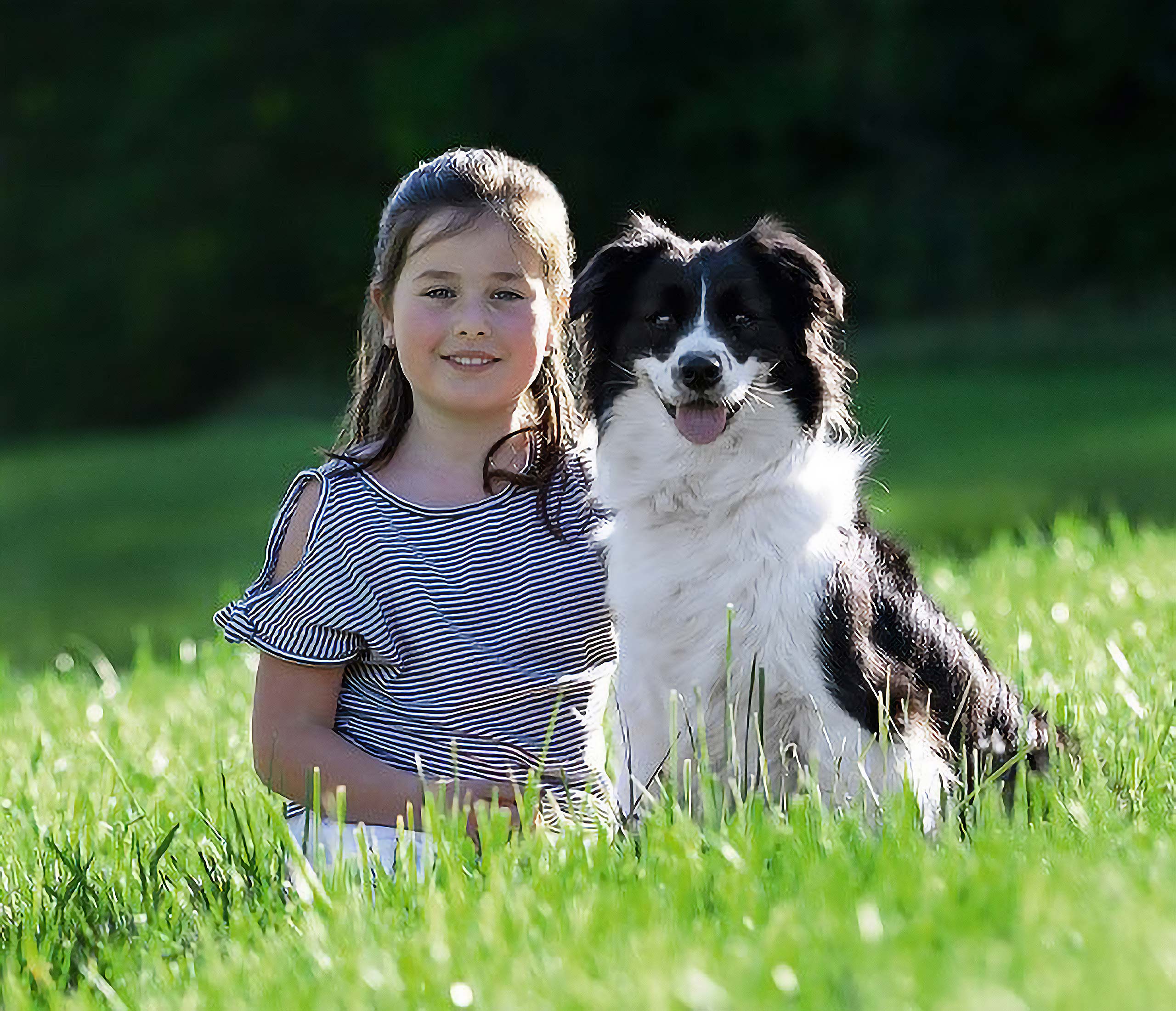 Wirth´s Profi BARF Hundefutter - Kind mit Australien Shepard Hund