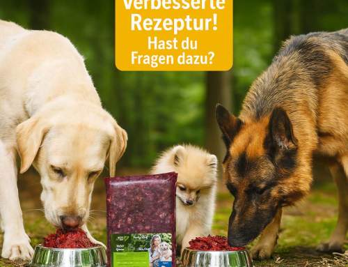 Jetzt neu: Unser BARF-Futter mit verbesserter Rezeptur – noch gesünder für deinen Hund!