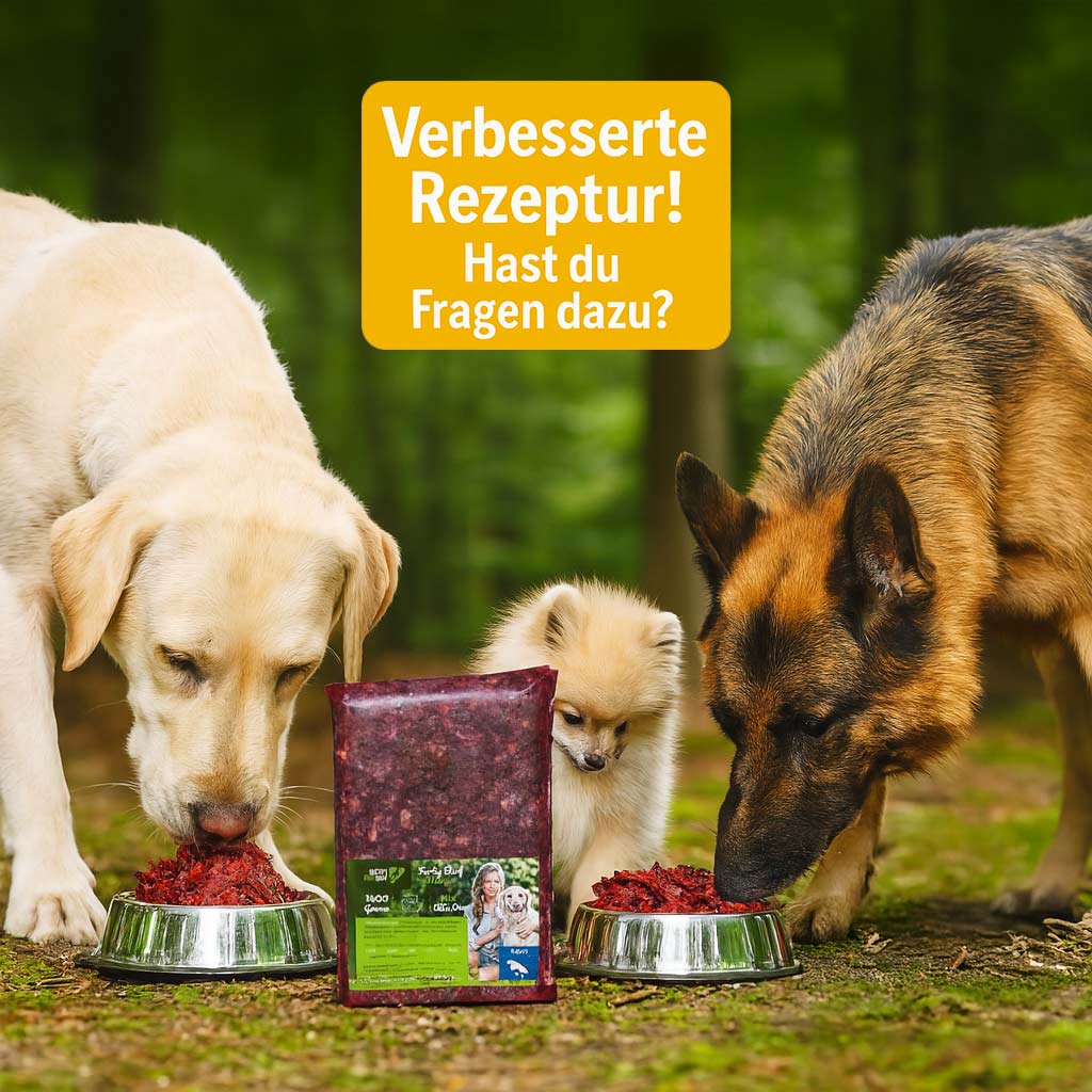 verbesserte-barf-rezeptur 3 Hunde fressen das neue Barf-Futter mit verbesserter Rezeptur und Prä- & Probiotika