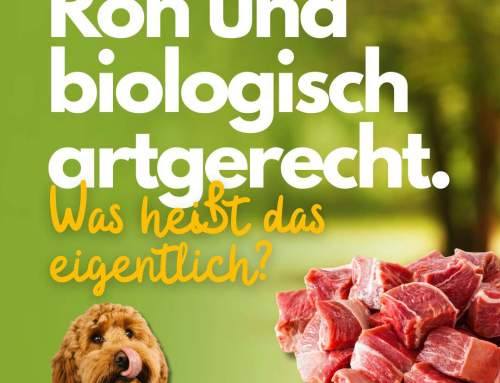Roh und biologisch artgerecht… was heißt das eigentlich?